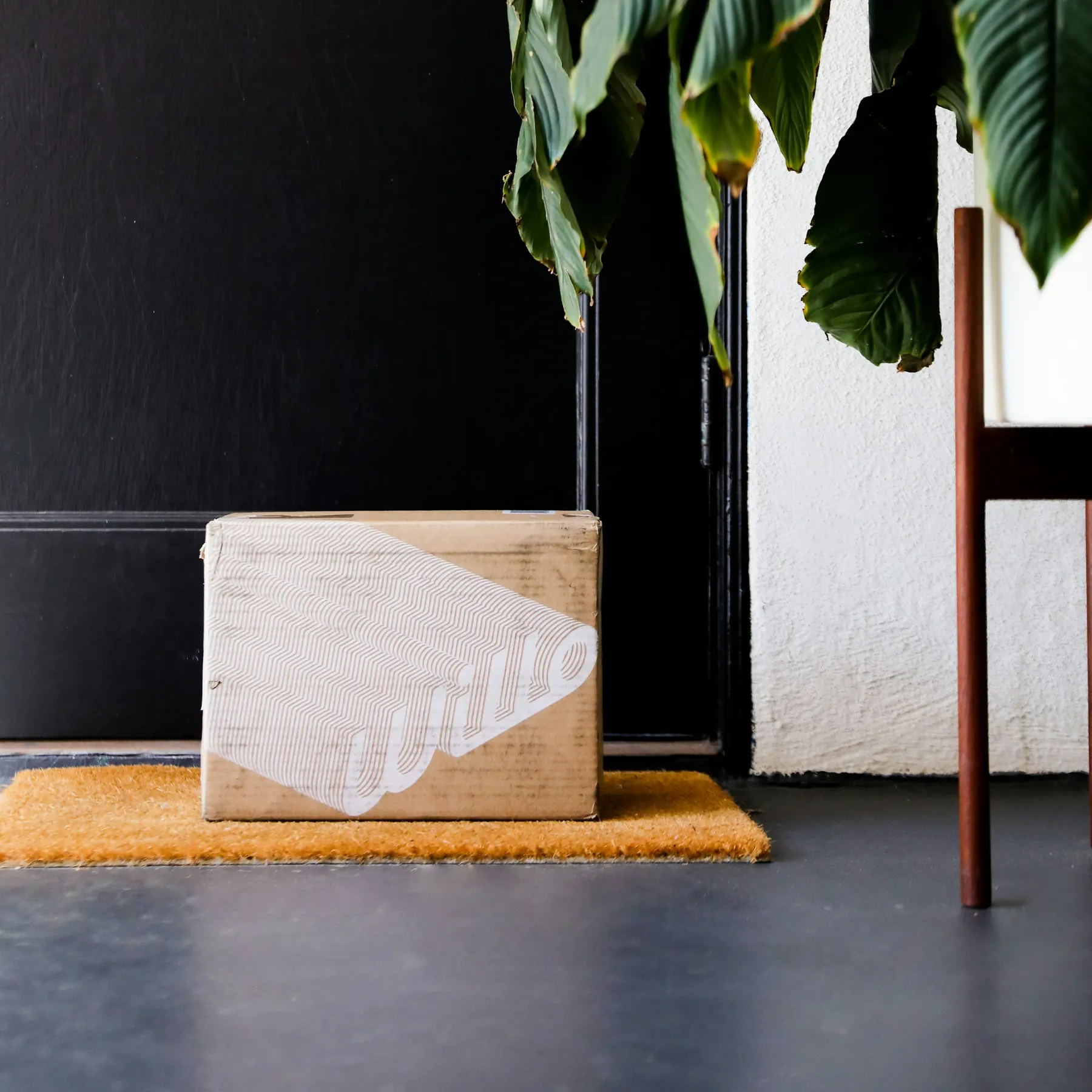 Cardboard shipping box on a floor beside a plant