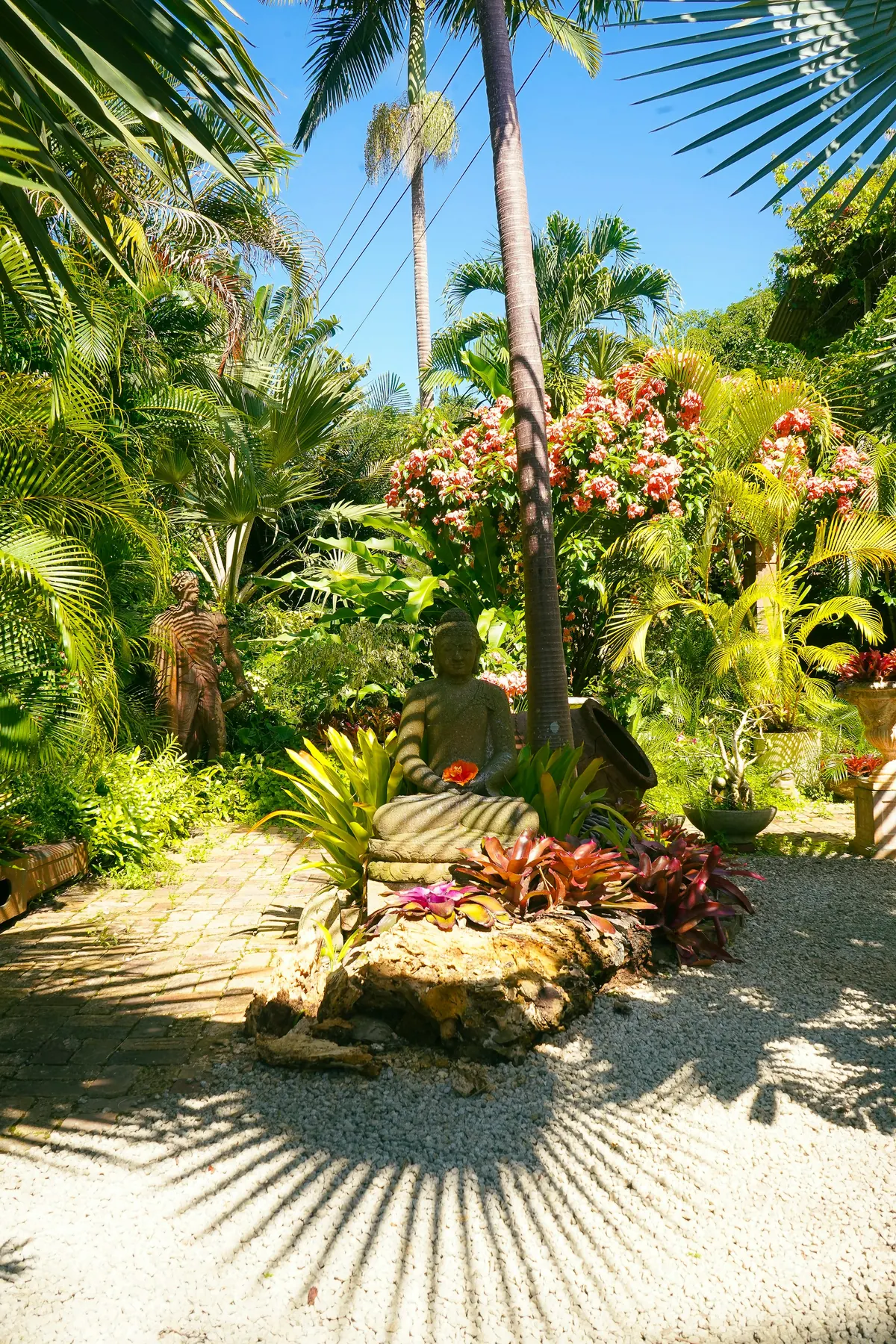 Tropical garden with palms and flowering plants